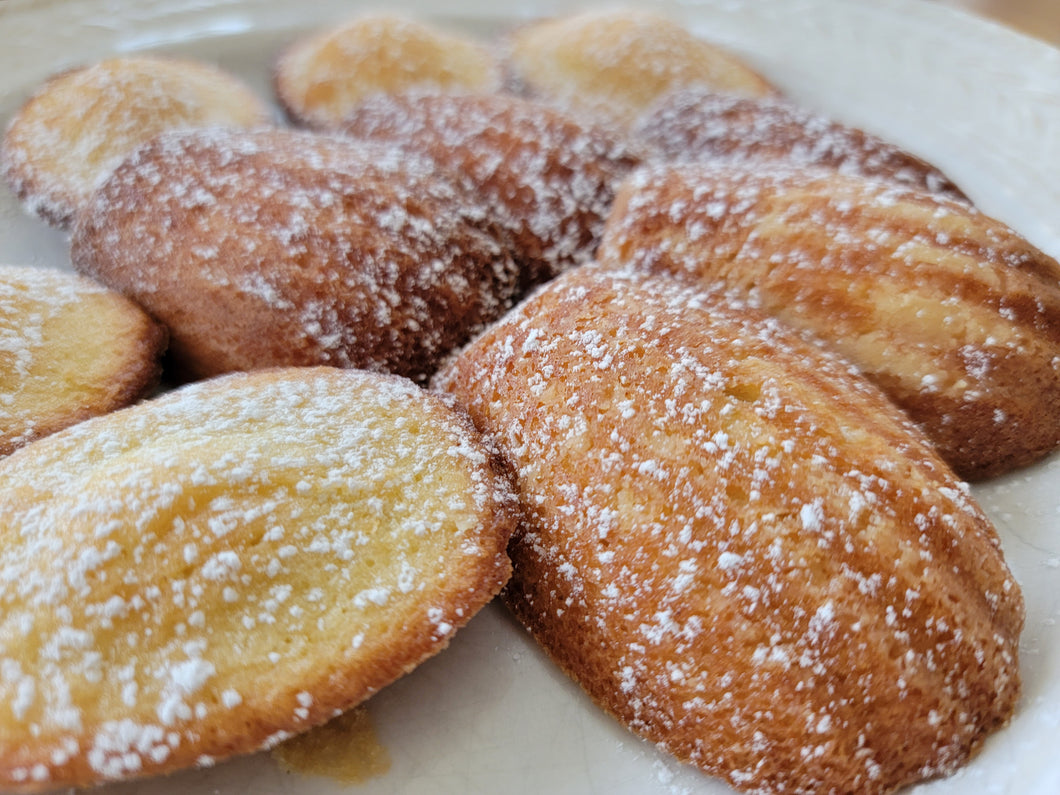 Classic Madeleines